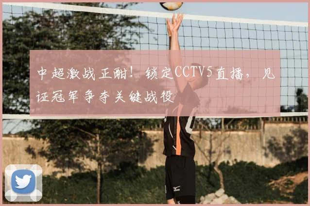 中超激战正酣！锁定CCTV5直播，见证冠军争夺关键战役