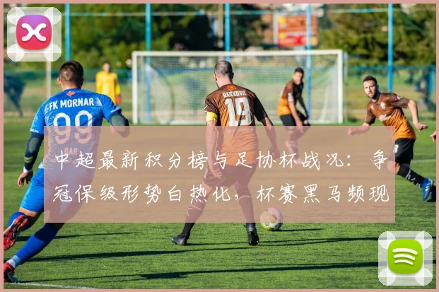 中超最新积分榜与足协杯战况：争冠保级形势白热化，杯赛黑马频现