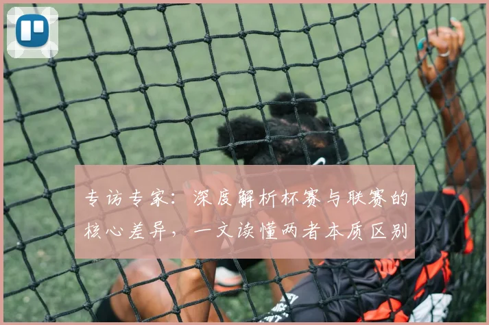 专访专家：深度解析杯赛与联赛的核心差异，一文读懂两者本质区别
